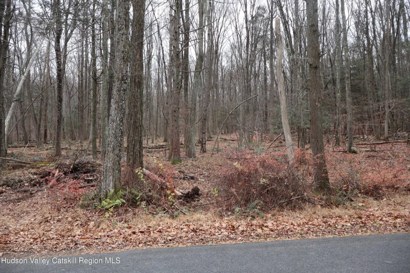Current WMR listing photograph 1 of 1 for 11 Carey Road, West Park, New York.